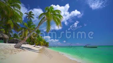 带着异国风情的椰子棕榈树的热带海岛海滩上壮观的海上日出